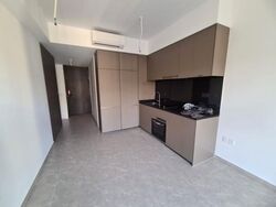 Park Colonial (D13), Condominium #611258561